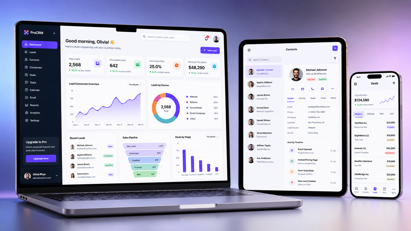 Custom CRM System